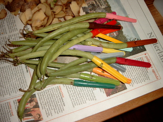 Zelfgedopte boontjes